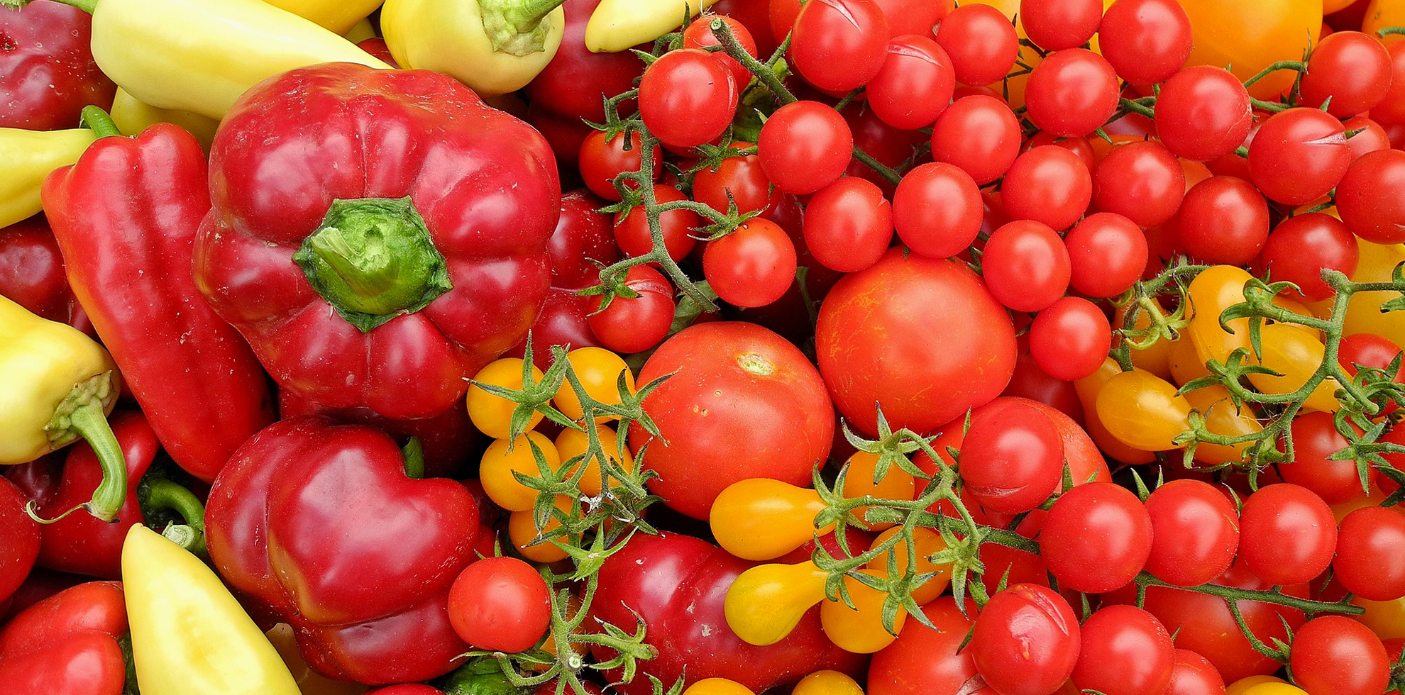 Ortofrutta Miale - San Severo - Frutta e verdura di stagione sempre fresche e pronte da cucinare e mangiare.