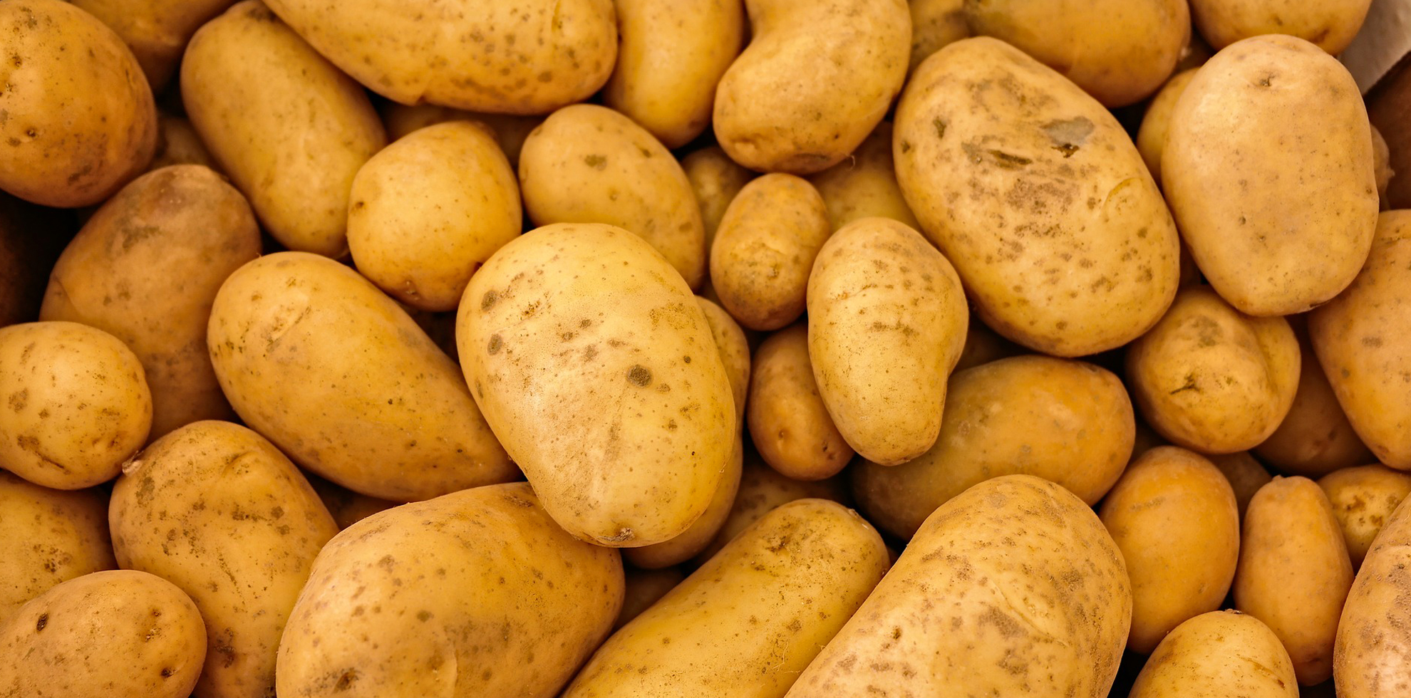 Ortofrutta Miale - San Severo - Frutta e verdura di stagione sempre fresche e pronte da cucinare e mangiare.