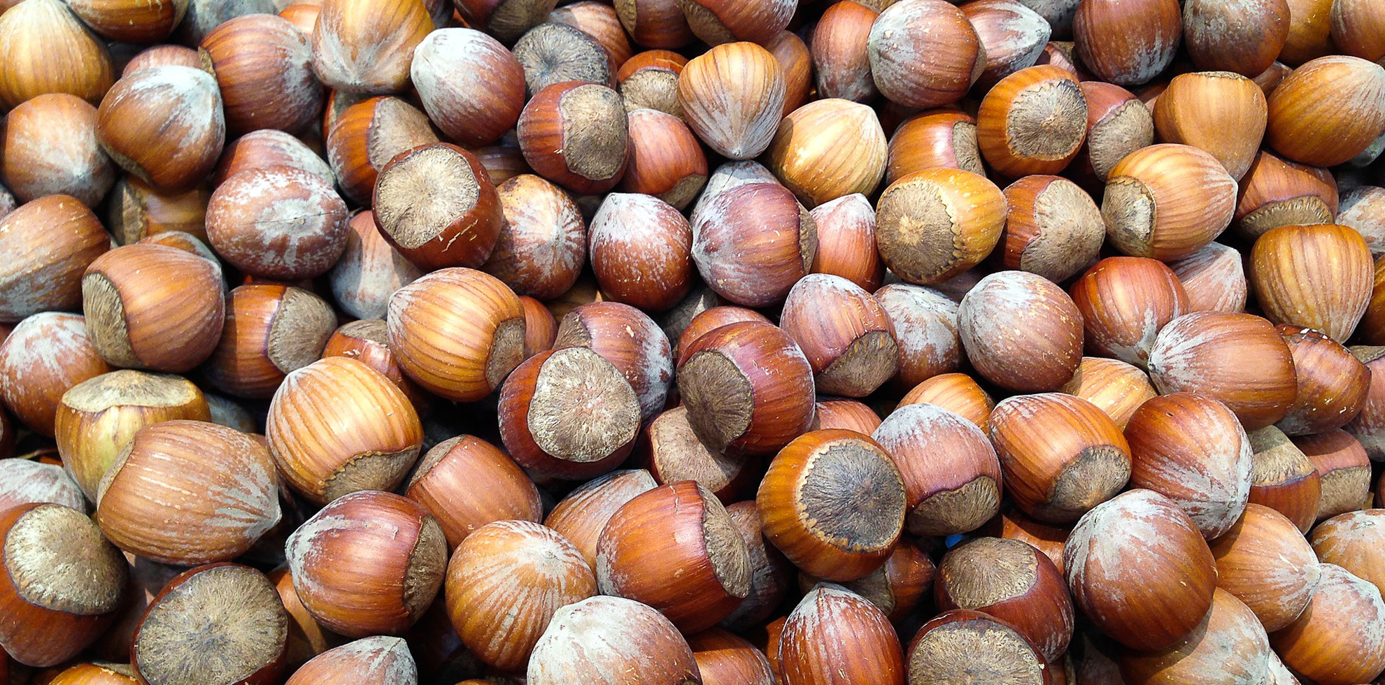 Ortofrutta Miale - San Severo - Frutta e verdura di stagione sempre fresche e pronte da cucinare e mangiare.