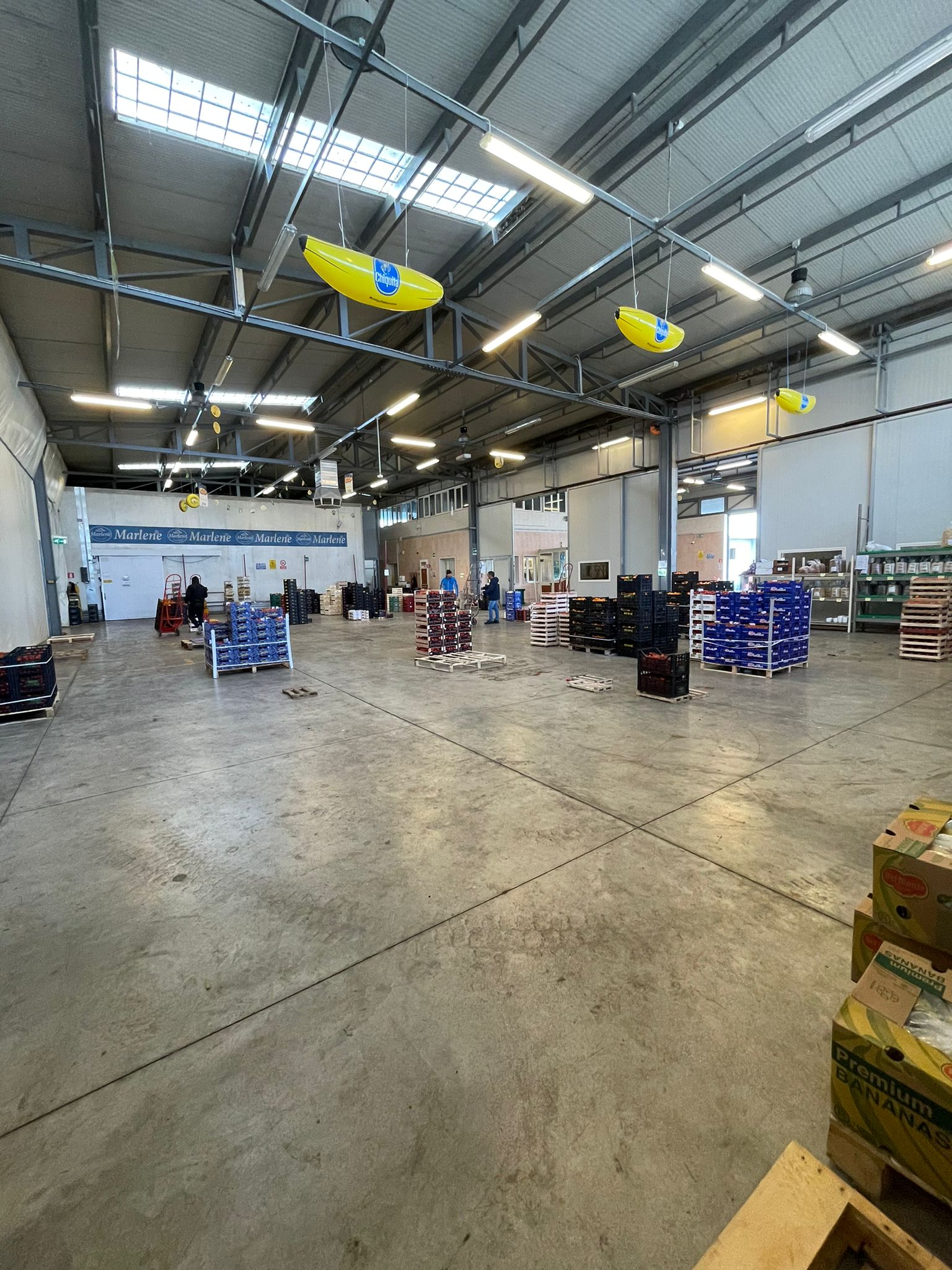 636981ed-6255-450e-a3b9-b8c86e1212a5